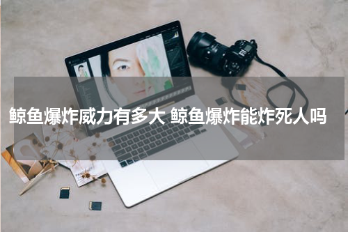 鲸鱼爆炸威力有多大 鲸鱼爆炸能炸死人吗