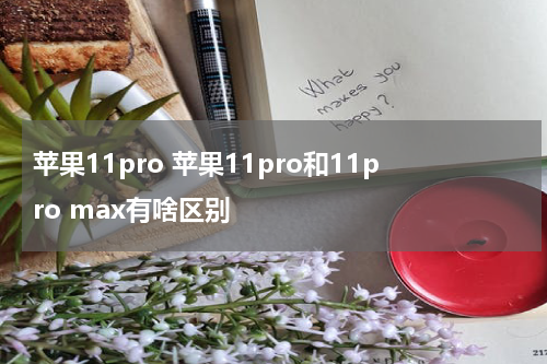 苹果11pro 苹果11pro和11pro max有啥区别