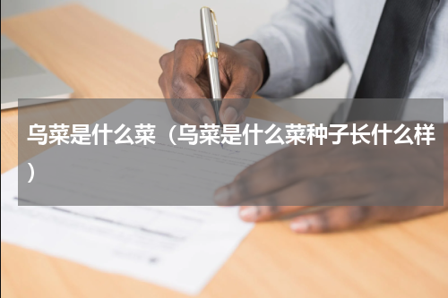 乌菜是什么菜（乌菜是什么菜种子长什么样）