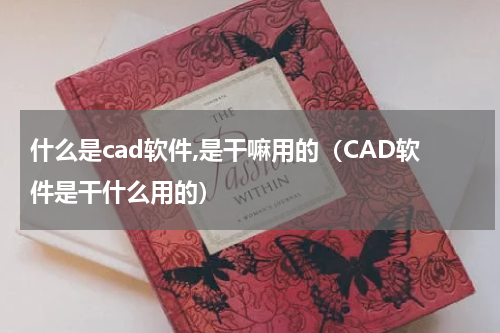 什么是cad软件,是干嘛用的（CAD软件是干什么用的）