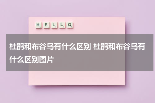 杜鹃和布谷鸟有什么区别 杜鹃和布谷鸟有什么区别图片