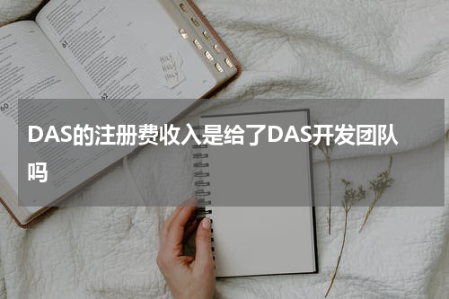 DAS的注册费收入是给了DAS开发团队吗