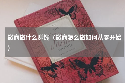 微商做什么赚钱（微商怎么做如何从零开始）