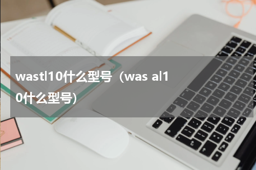 wastl10什么型号（was al10什么型号）