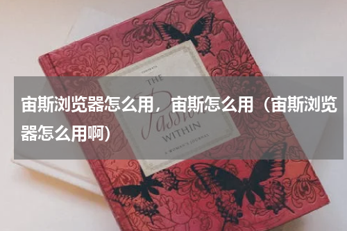 宙斯浏览器怎么用，宙斯怎么用（宙斯浏览器怎么用啊）