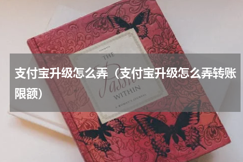 支付宝升级怎么弄（支付宝升级怎么弄转账限额）