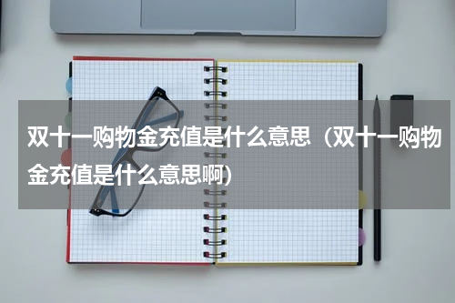 双十一购物金充值是什么意思（双十一购物金充值是什么意思啊）