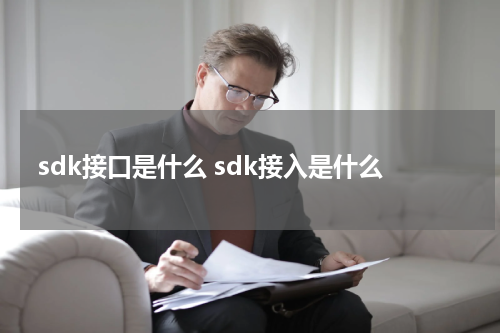 sdk接口是什么 sdk接入是什么