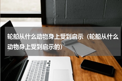 轮船从什么动物身上受到启示（轮船从什么动物身上受到启示的）