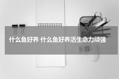 什么鱼好养 什么鱼好养活生命力顽强