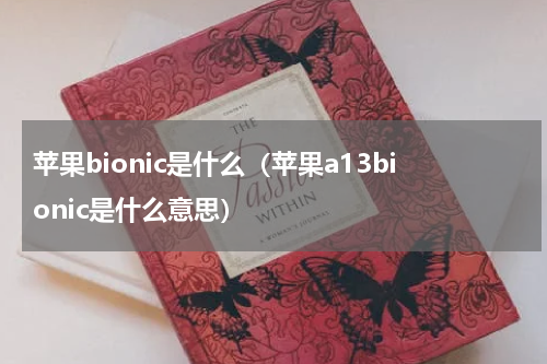 苹果bionic是什么（苹果a13bionic是什么意思）