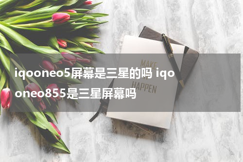 iqooneo5屏幕是三星的吗 iqooneo855是三星屏幕吗