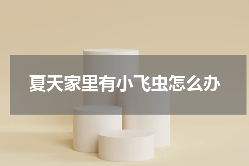 夏天家里有小飞虫怎么办