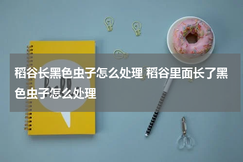 稻谷长黑色虫子怎么处理 稻谷里面长了黑色虫子怎么处理