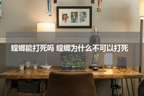 螳螂能打死吗 螳螂为什么不可以打死