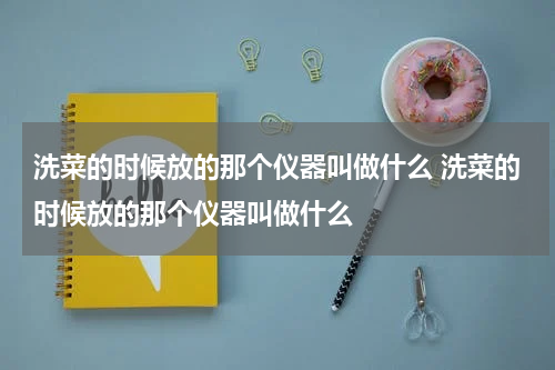 洗菜的时候放的那个仪器叫做什么 洗菜的时候放的那个仪器叫做什么
