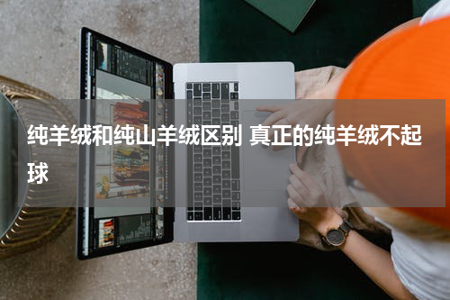 纯羊绒和纯山羊绒区别 真正的纯羊绒不起球