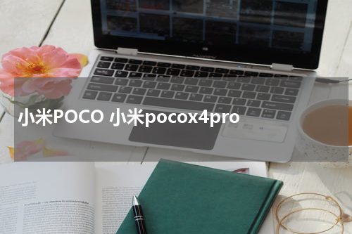 小米POCO 小米pocox4pro