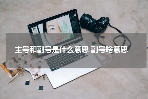 主号和副号是什么意思 副号啥意思