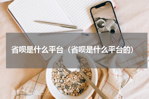 省呗是什么平台（省呗是什么平台的）