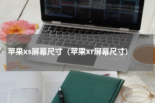 苹果xs屏幕尺寸（苹果xr屏幕尺寸）