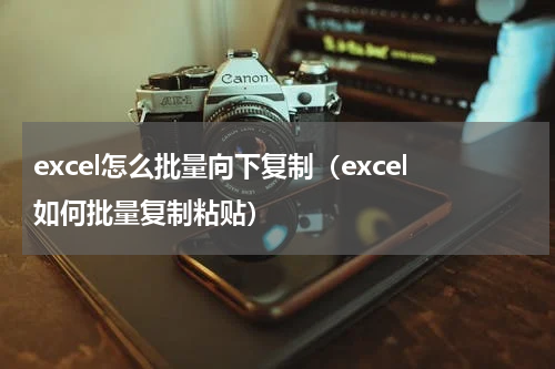excel怎么批量向下复制（excel如何批量复制粘贴）