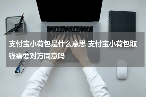 支付宝小荷包是什么意思 支付宝小荷包取钱需要对方同意吗