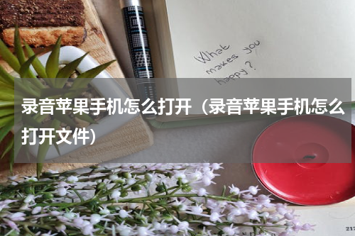 录音苹果手机怎么打开（录音苹果手机怎么打开文件）