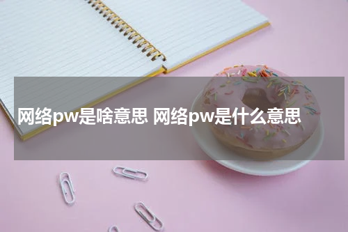 网络pw是啥意思 网络pw是什么意思