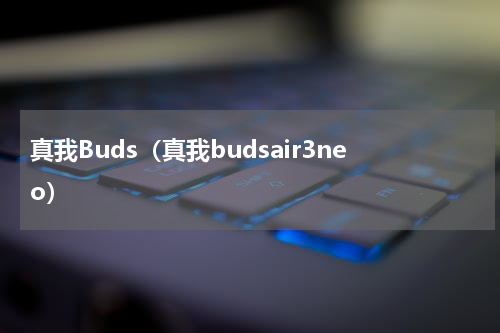真我Buds（真我budsair3neo）