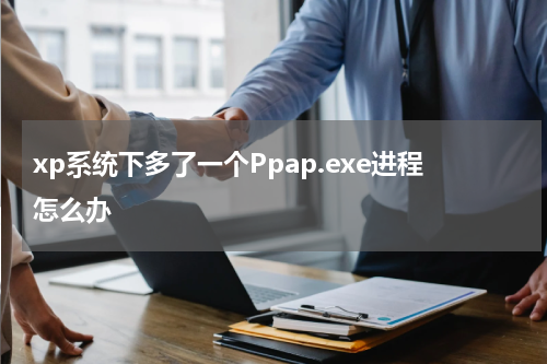 xp系统下多了一个Ppap.exe进程怎么办