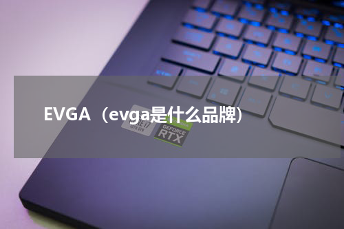 EVGA（evga是什么品牌）