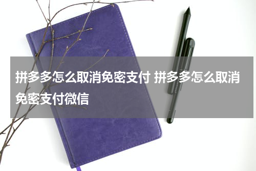 拼多多怎么取消免密支付 拼多多怎么取消免密支付微信