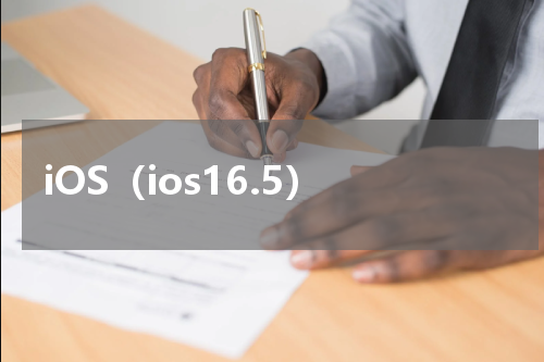 iOS（ios16.5）