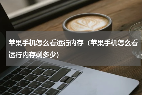 苹果手机怎么看运行内存（苹果手机怎么看运行内存剩多少）
