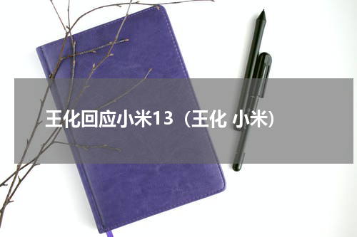 王化回应小米13（王化 小米）