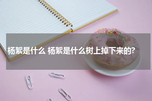 杨絮是什么 杨絮是什么树上掉下来的?