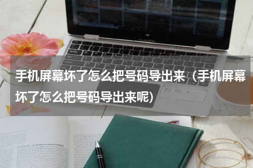 手机屏幕坏了怎么把号码导出来（手机屏幕坏了怎么把号码导出来呢）