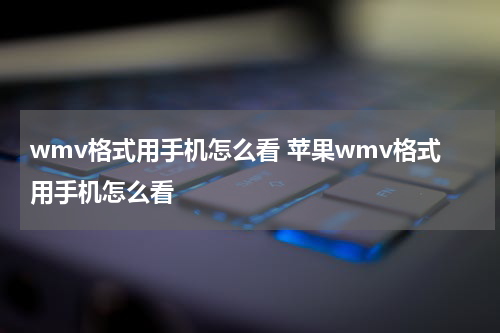wmv格式用手机怎么看 苹果wmv格式用手机怎么看