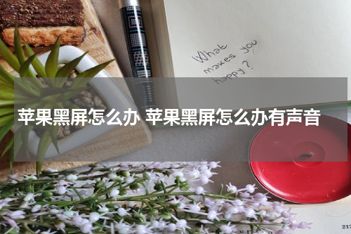 苹果黑屏怎么办 苹果黑屏怎么办有声音