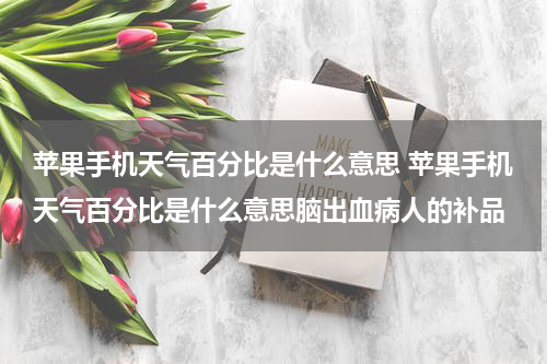苹果手机天气百分比是什么意思 苹果手机天气百分比是什么意思脑出血病人的补品