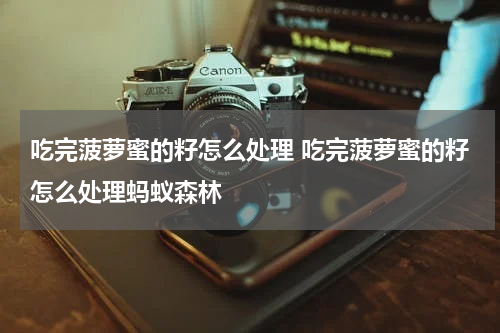 吃完菠萝蜜的籽怎么处理 吃完菠萝蜜的籽怎么处理蚂蚁森林