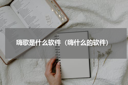 嗨歌是什么软件（嗨什么的软件）