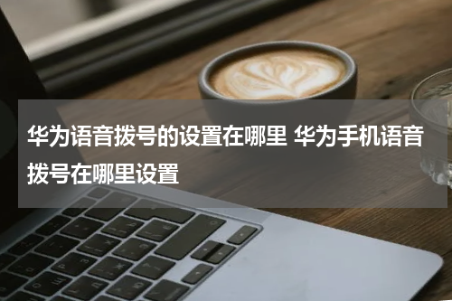 华为语音拨号的设置在哪里 华为手机语音拨号在哪里设置