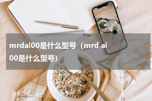 mrdal00是什么型号（mrd al00是什么型号）