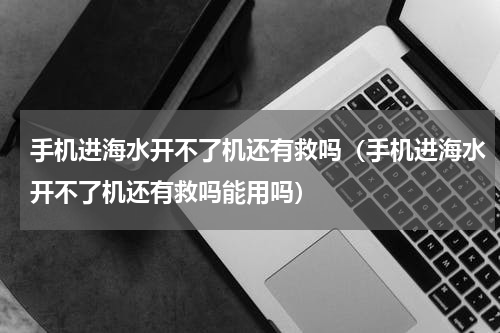 手机进海水开不了机还有救吗（手机进海水开不了机还有救吗能用吗）