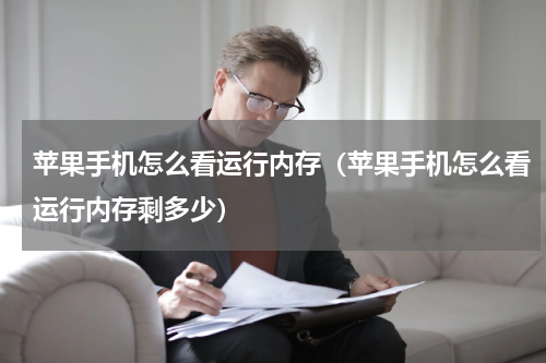 苹果手机怎么看运行内存（苹果手机怎么看运行内存剩多少）