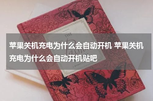 苹果关机充电为什么会自动开机 苹果关机充电为什么会自动开机贴吧