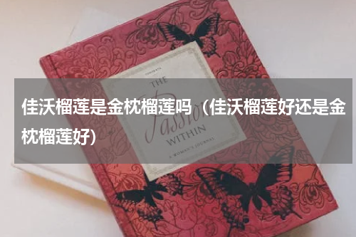 佳沃榴莲是金枕榴莲吗（佳沃榴莲好还是金枕榴莲好）