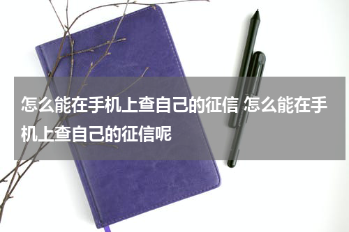 怎么能在手机上查自己的征信 怎么能在手机上查自己的征信呢